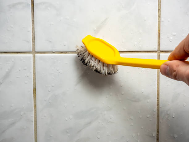 Best Fast Mold Removal  in Alton, IA